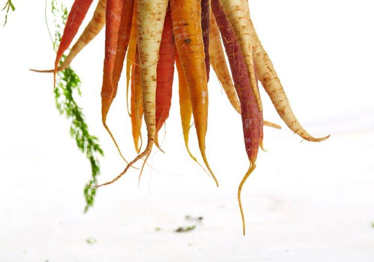 Vitamix Carrot Juice Recipes for Every Day of the Week